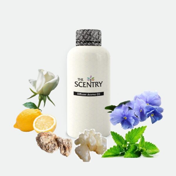 Buy 3 Aroma Oil (480ml) and get 20% off  (Scent Your Summer) - Image 11