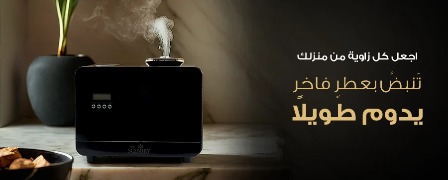 Best Aroma Diffusers22