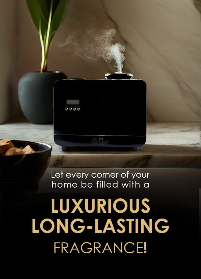 Best Aroma Diffusers4