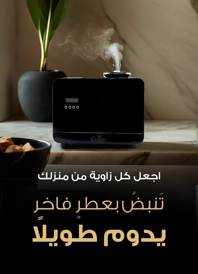 Best Aroma Diffusers16