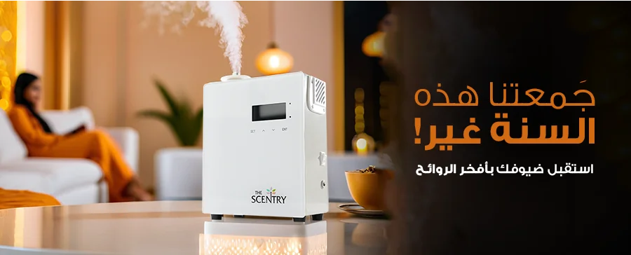 Best Aroma Diffusers23