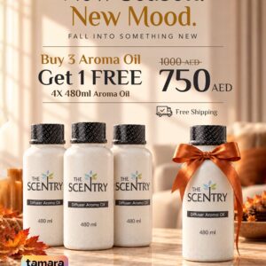 aroma diffuser fall 4